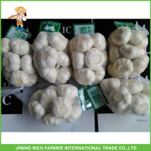 Certified Gap Kosher Halal Normal White Garlic